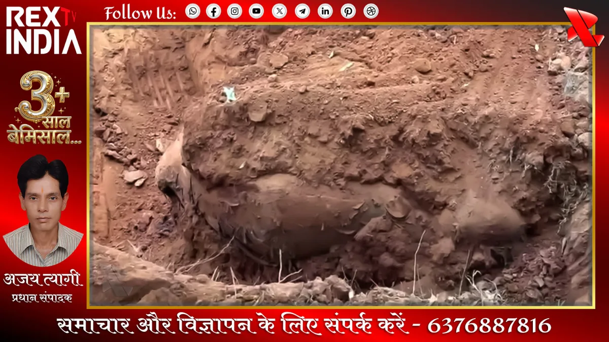 जंगली हाथी की मौत का राजफाश, फार्महाउस मालिक समेत तीन गिरफ्तार