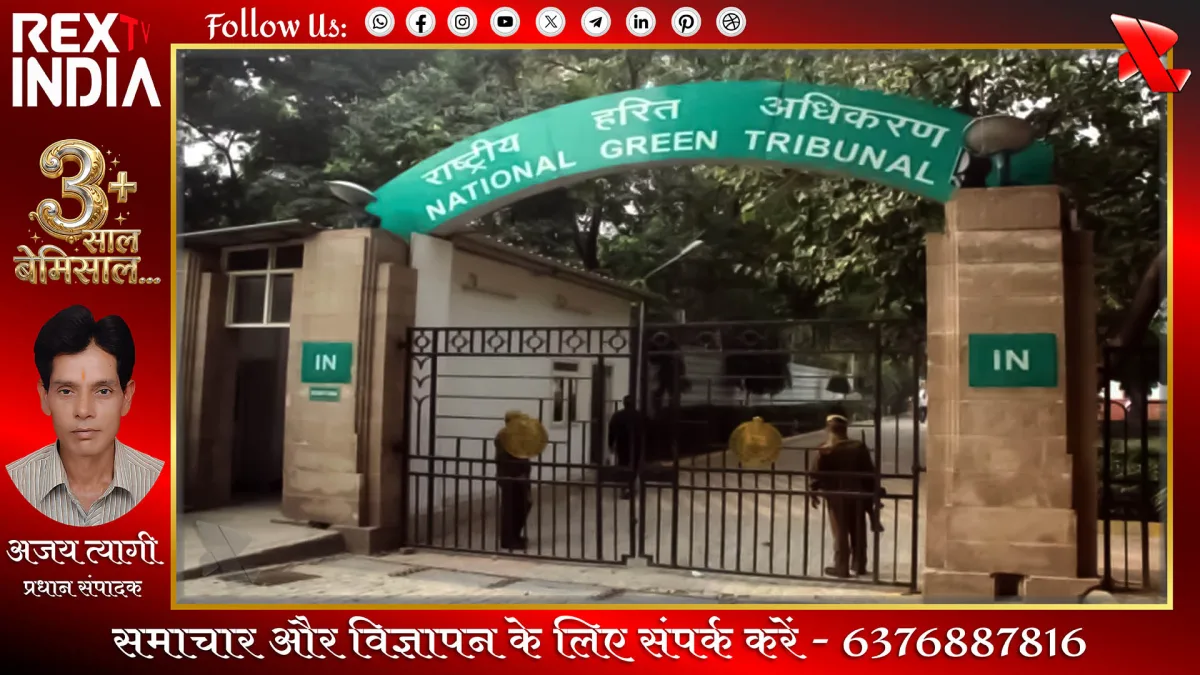 अवैध खनन पर एनजीटी की फटकार: पारिस्थितिकी तंत्र हुआ तबाह