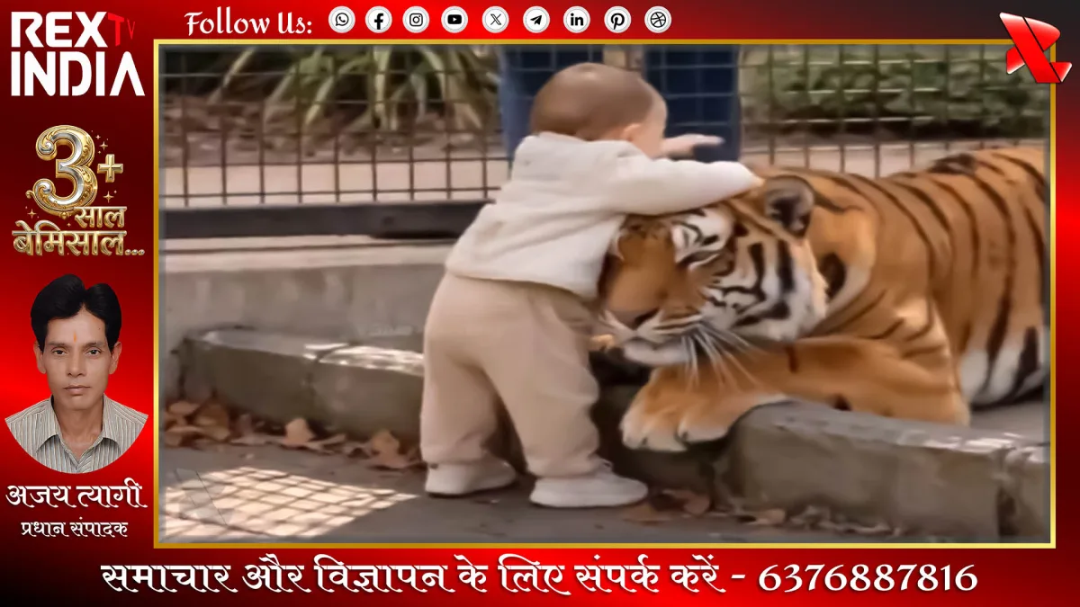 टाइगर का मासूम बच्चे को दुलार: जानवर के भीतर छिपी ममता का अद्भुत रूप