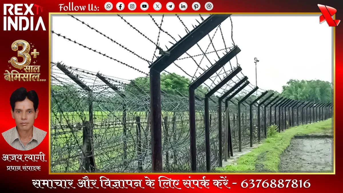 प्रतीकात्मक फोटो - Rex TV India