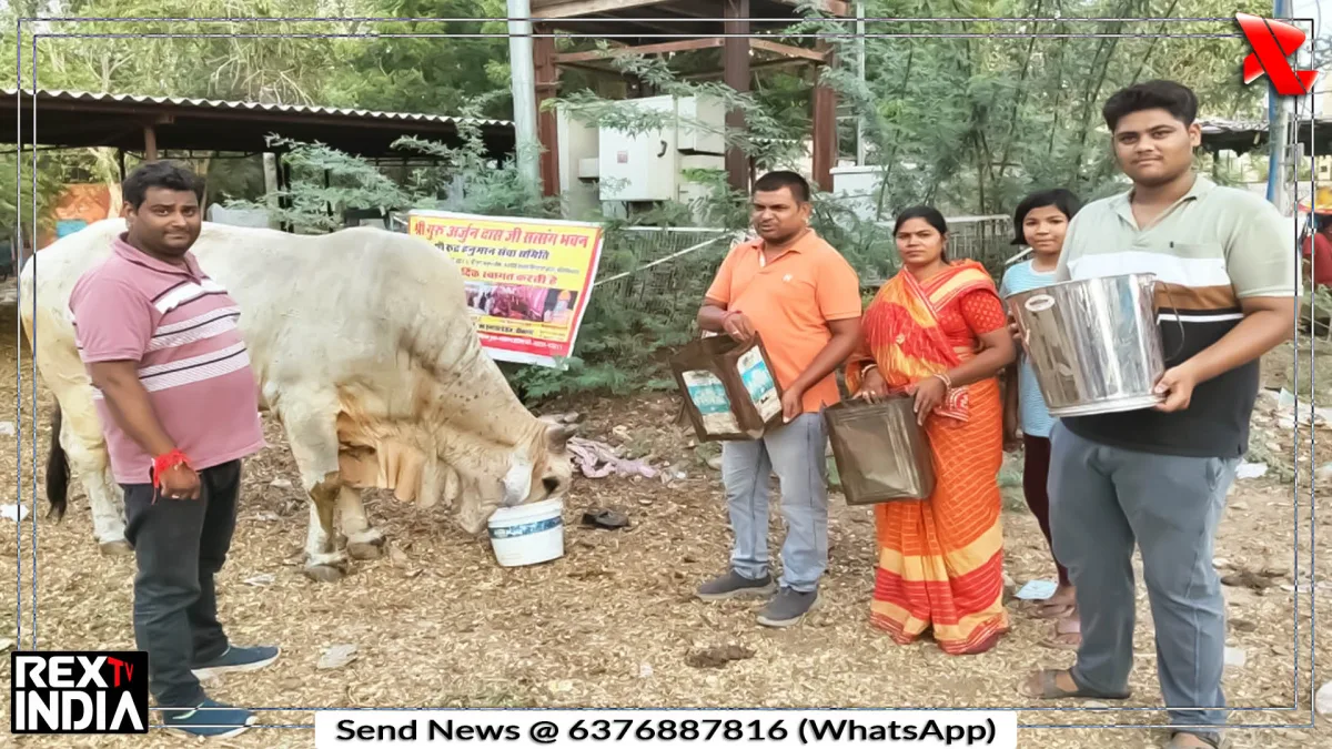 जन्माष्टमी पर गौसेवा, गायों को मीठा दलिया और हरा चारा खिलाया