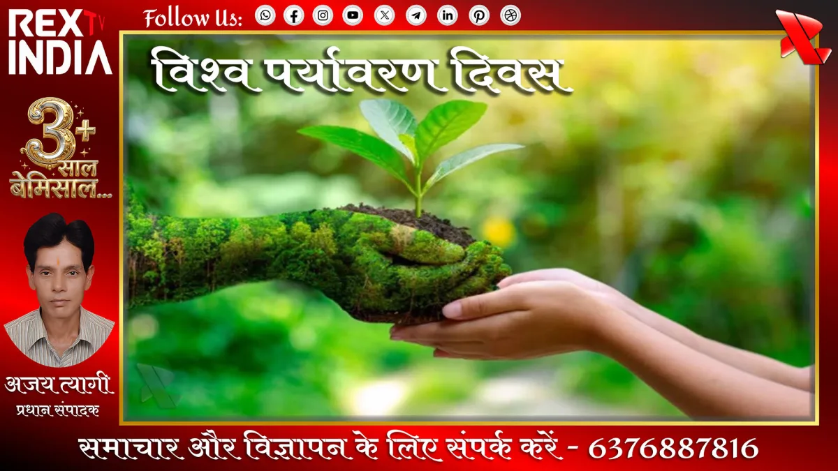 प्रतीकात्मक फोटो - Rex TV India