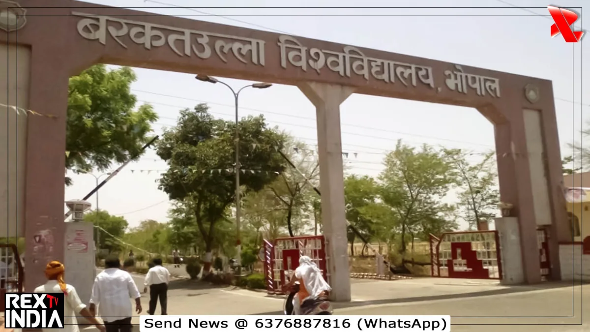 प्रतीकात्मक फोटो - Rex TV India