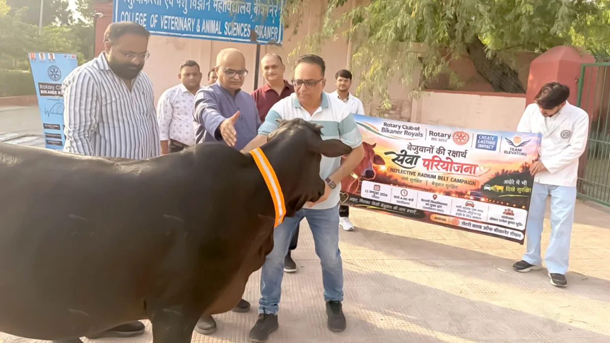 राजमार्गों पर गौवंश की सुरक्षा: रोटरी क्लब का रेडियम बेल्ट अभियान