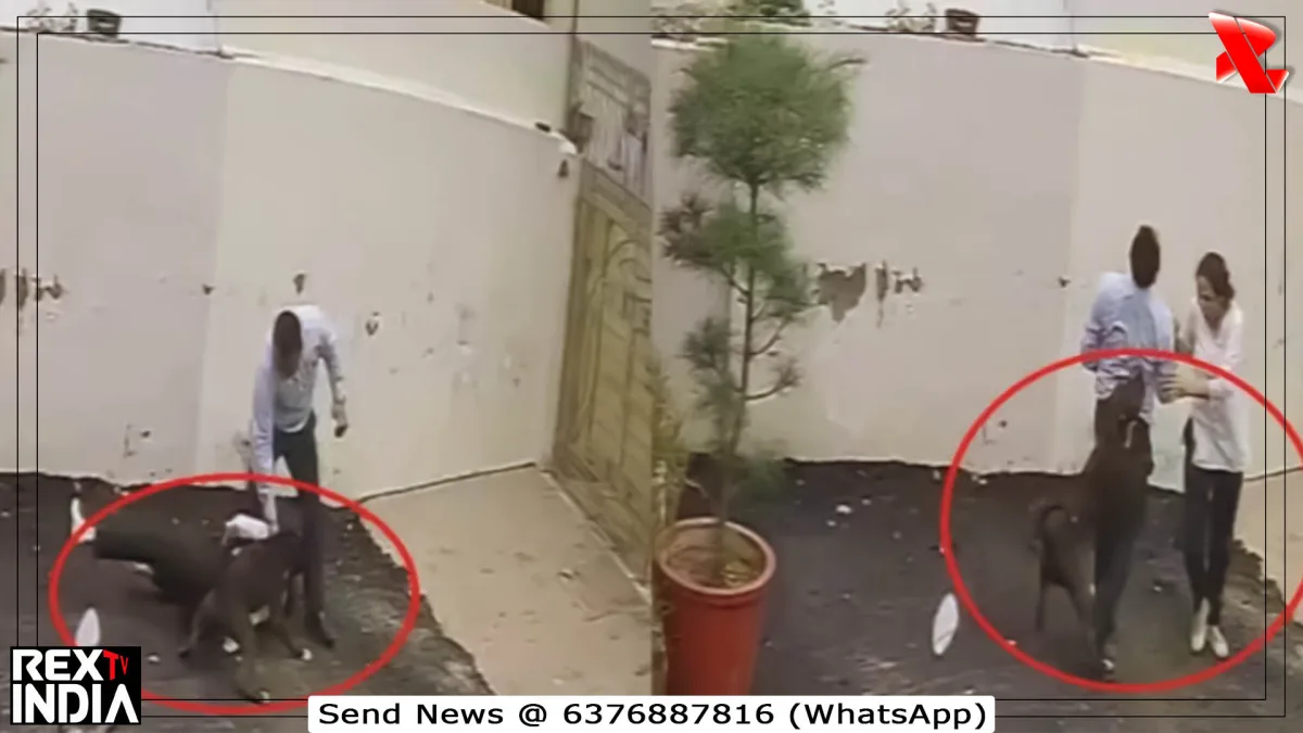 घर देखने पहुंचे दंपती पर पिटबुल हमले से मचा हड़कंप, वीडियो वायरल