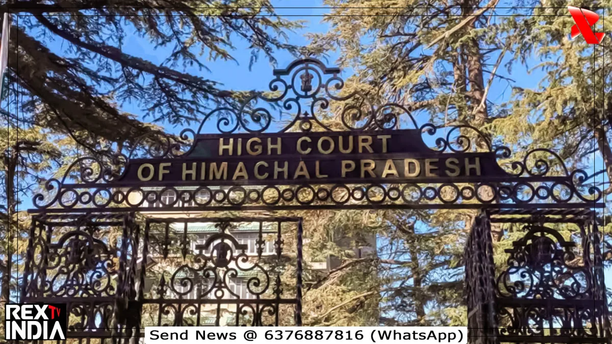 बेटियों के पैतृक संपत्ति में हक पर हाई कोर्ट ने दूर किया पुराना भ्रम