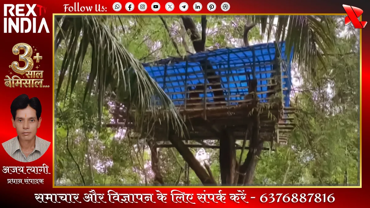 मचानों पर रात गुजारने को मजबूर सैकड़ों बेबस ग्रामीण