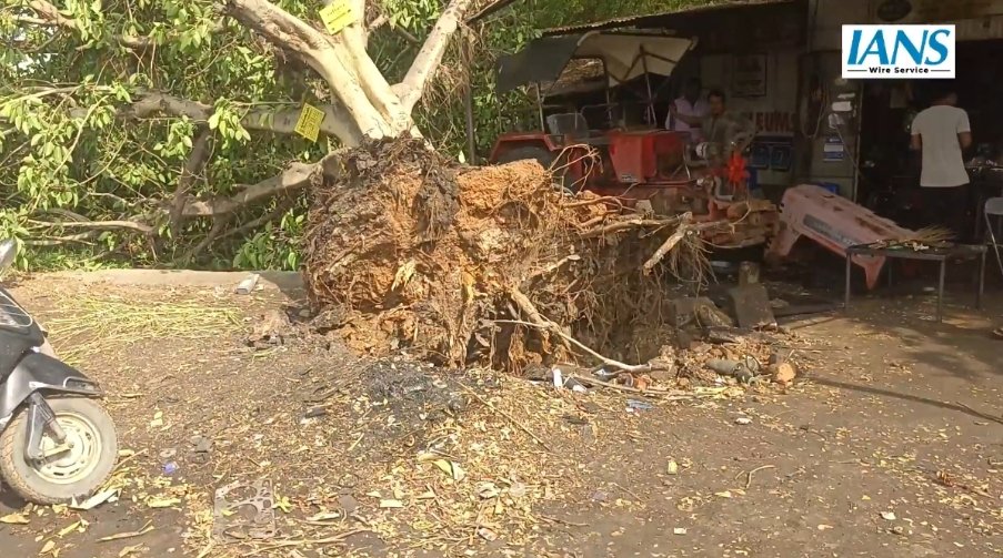 सकारिया गाँव में तूफान का तांडव: रातों-रात बस्तियां हुई उजाड़, छतें उड़ीं, दीवारें ढहीं, लाखों का नुकसान
