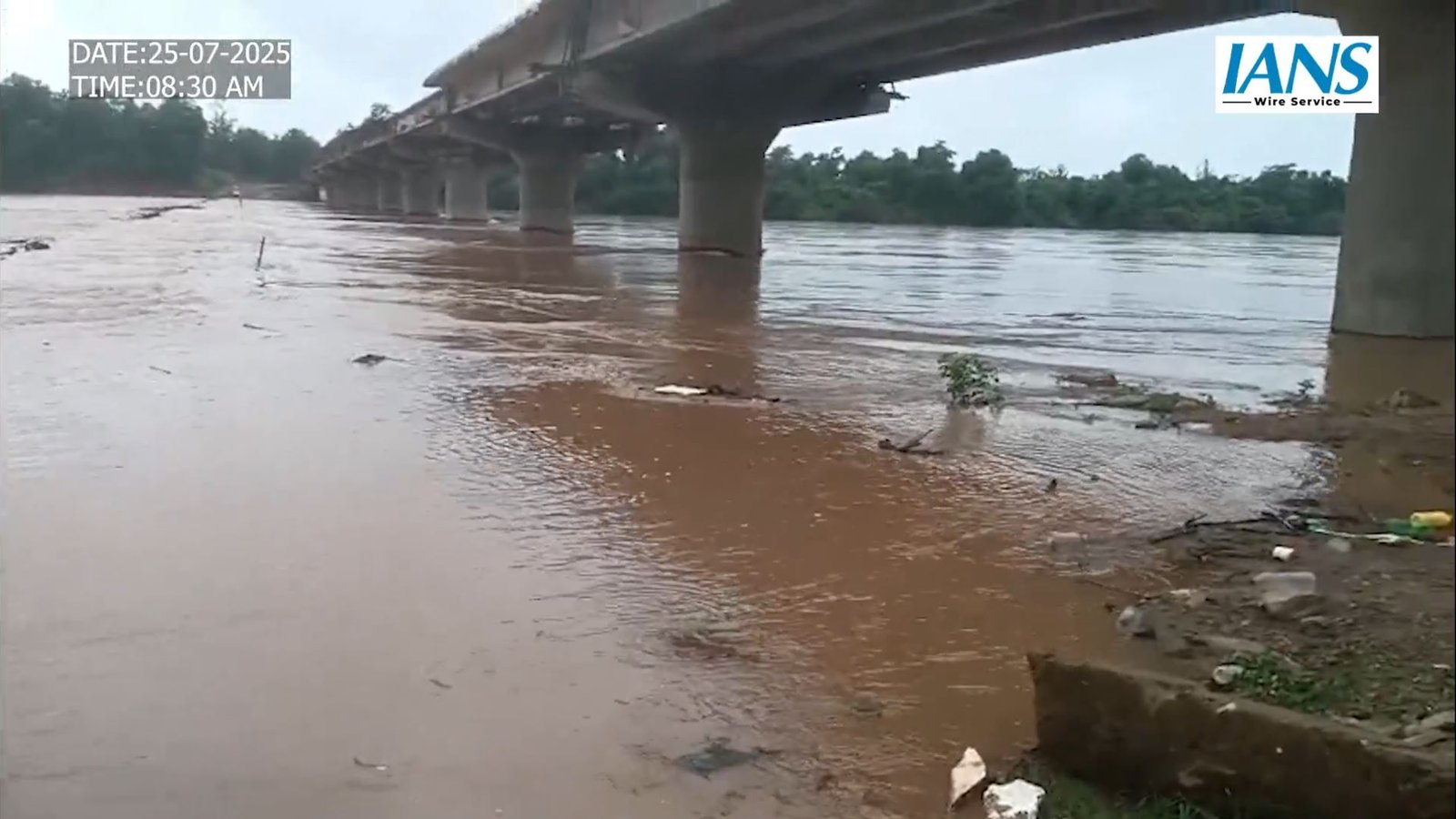 गढ़चिरौली में बाढ़ का कहर: परलकोटा नदी उफान पर, भामरागढ़ का संपर्क टूटा