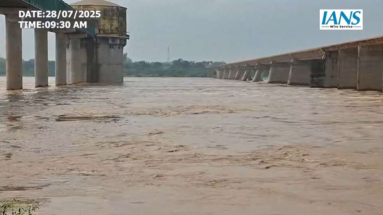 धौलपुर में चंबल का रौद्र रूप: खतरे के निशान से ऊपर बहाव, अलर्ट जारी