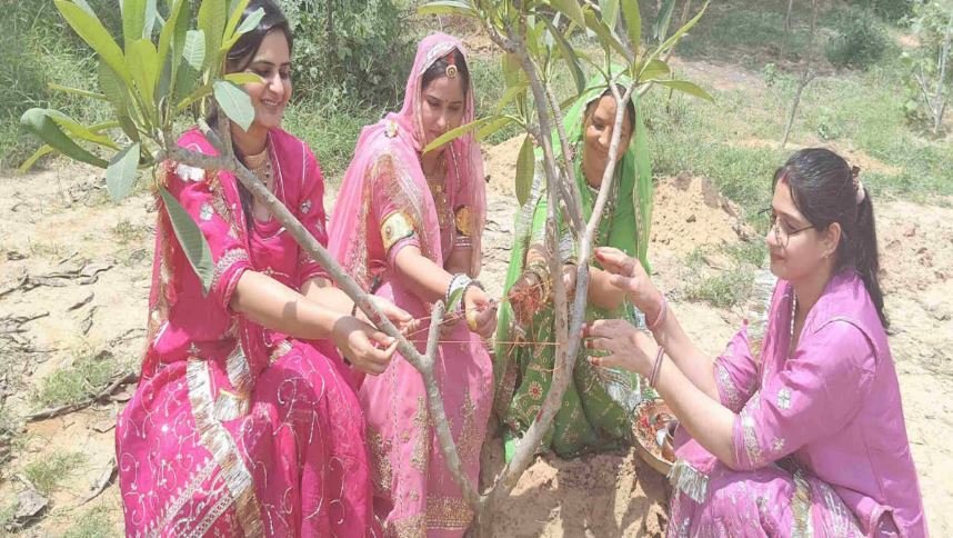सीकर में अनूठा रक्षाबंधन: भाई से पहले पेड़ को राखी: पर्यावरण संरक्षण का अनूठा संदेश