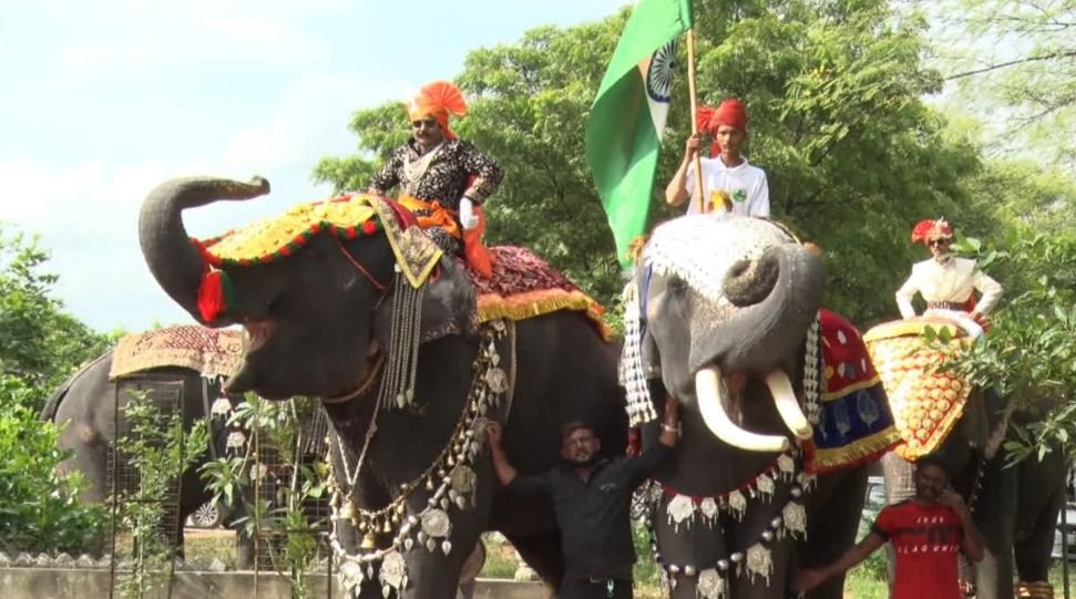 शाही ठाठ-बाट में 16 हाथियों की रैंप वॉक, 62 किलो चांदी के गहनों से सजे शोस्टॉपर बाबू
