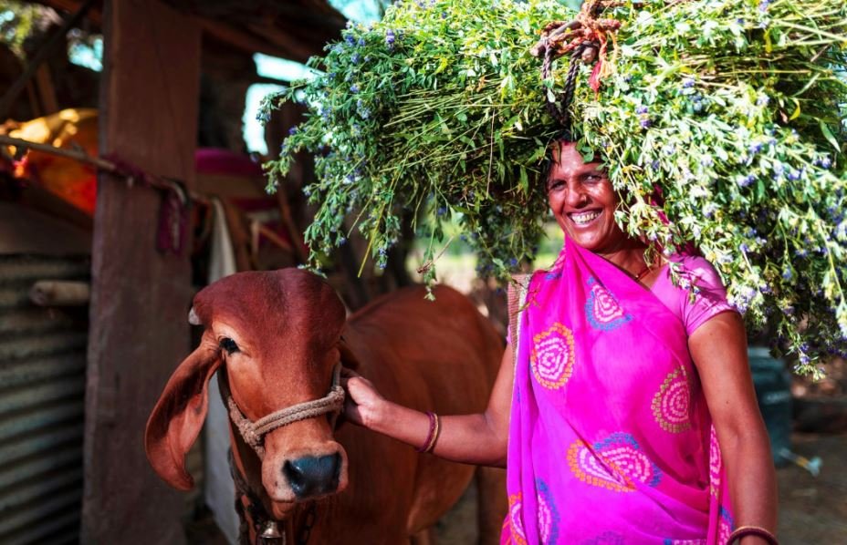 औद्योगिक विकास और प्रकृति का तालमेल: भारत में जैव विविधता संरक्षण की नई मिसाल
