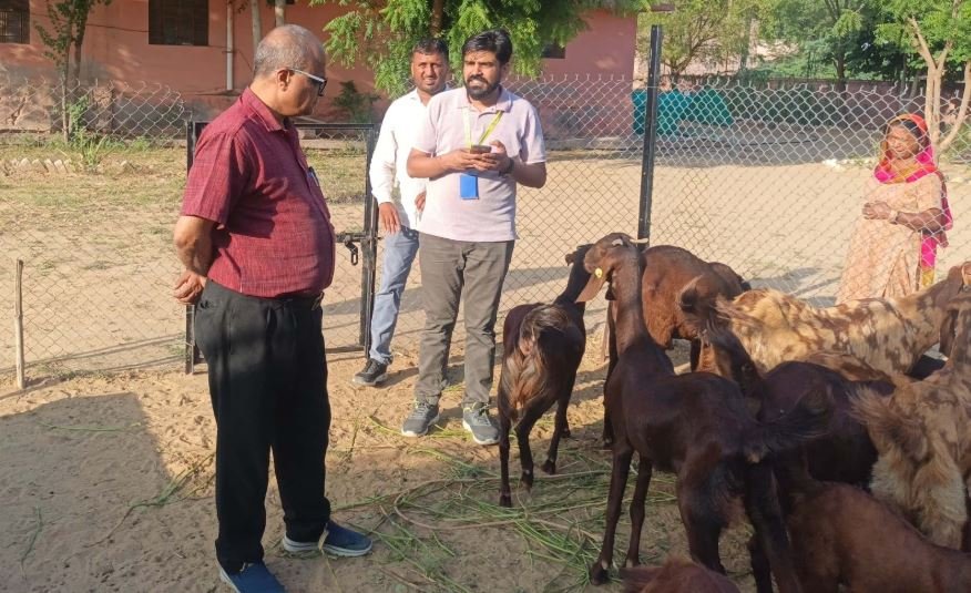 रोग निदान और दूध की गुणवत्ता: वेटरनरी विश्वविद्यालय के कुलगुरू ने देखी लूणकरणसर केंद्र की गतिविधियां