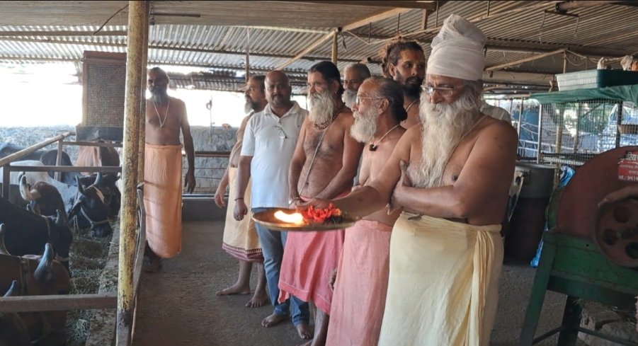 भीलवाड़ा में अनोखी दीपावली: गोपूजन से हुआ दीपोत्सव का आगाज