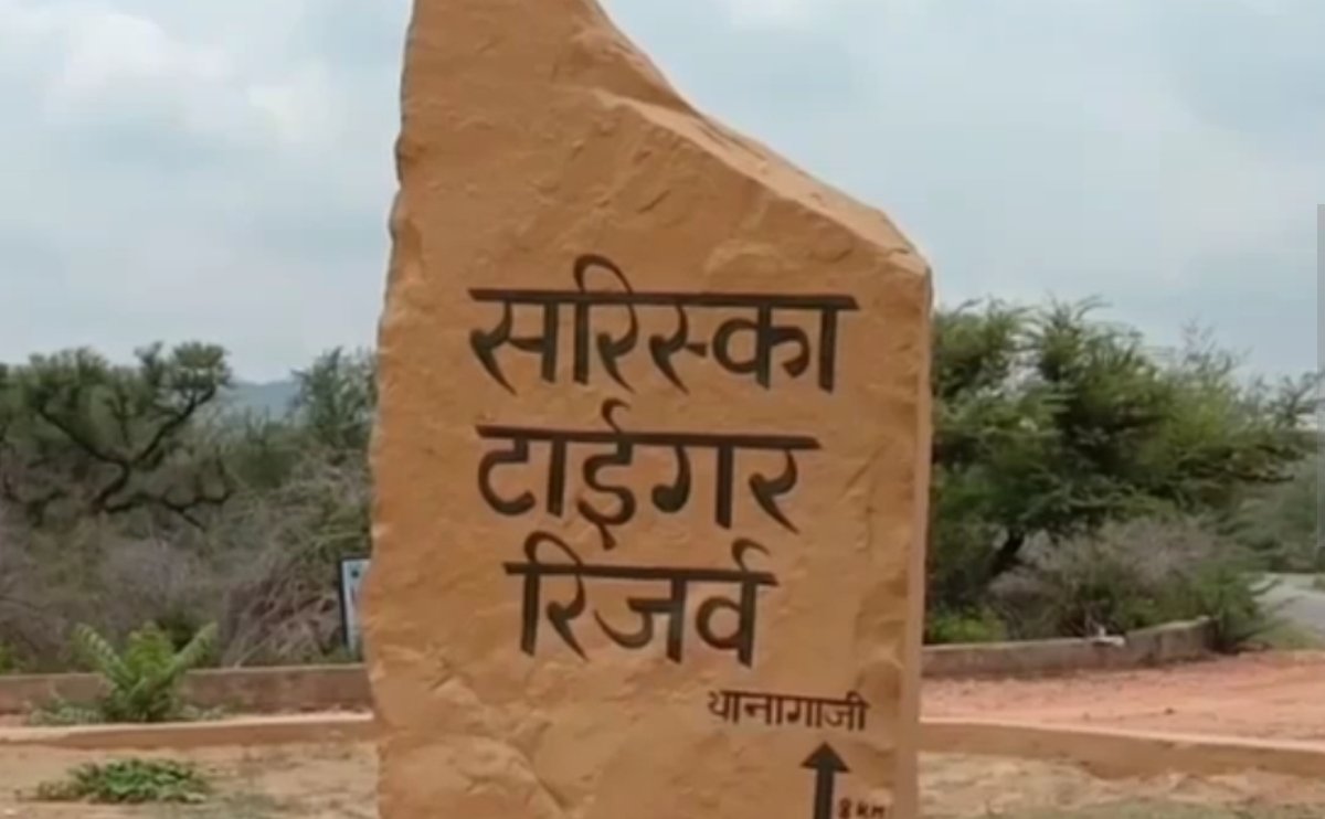 वन्यजीवों को बचाने की दौड़: सरिस्का में 15 दिसंबर तक इलेक्ट्रिक बसें चलाने की बड़ी चुनौती