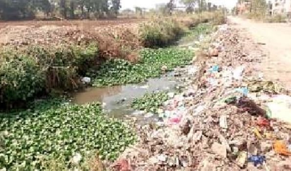 रबी की फसल पर खतरा! टेल तक पानी पहुँचाने के लिए तत्काल सफाई की माँग