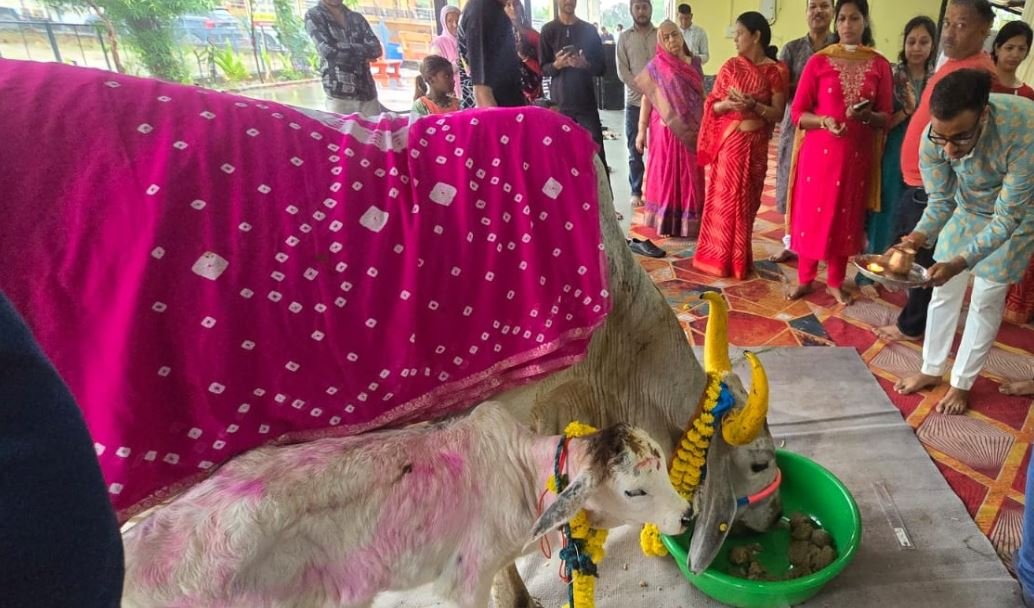 450 गौवंश को 5 क्विंटल सामग्री: नन्हे नक्ष पलोड़ का पाँचवाँ जन्मोत्सव बना गौ-संरक्षण की मिसाल