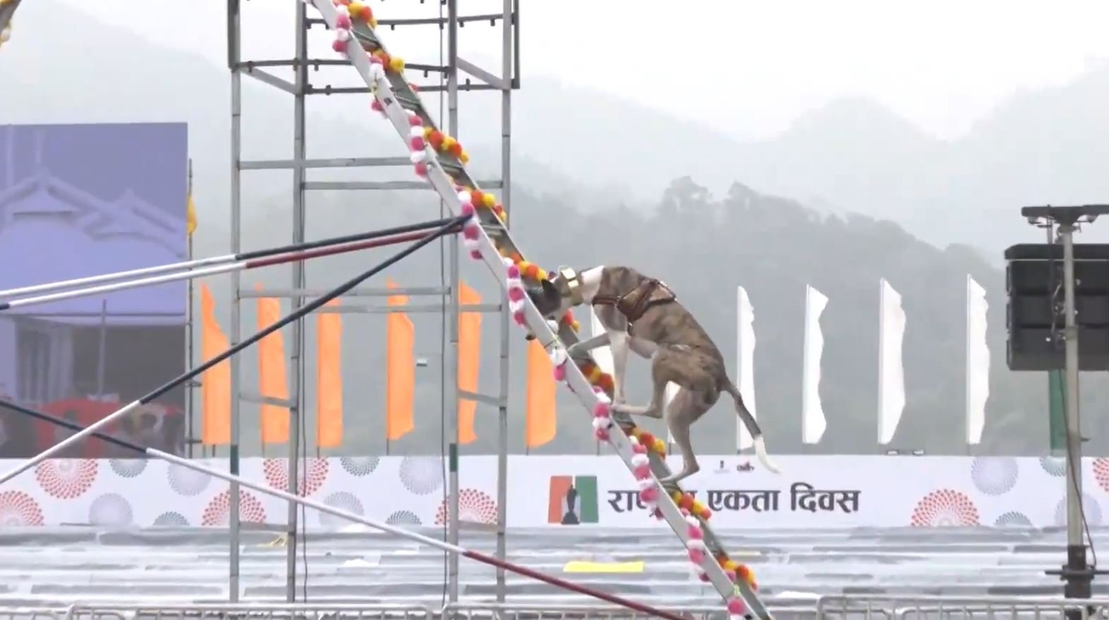 स्टैच्यू ऑफ यूनिटी पर शौर्य प्रदर्शन: राष्ट्रीय एकता दिवस के लिए सुरक्षा बलों की जबरदस्त तैयारी
