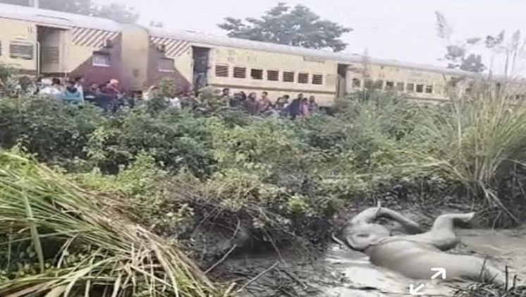 हाथी गलियारे में तेज रफ्तार ट्रेन का कहर: गूलरभोज-लालकुआं ट्रैक पर बार-बार हादसे, टूटते नियमों पर उठते सवाल