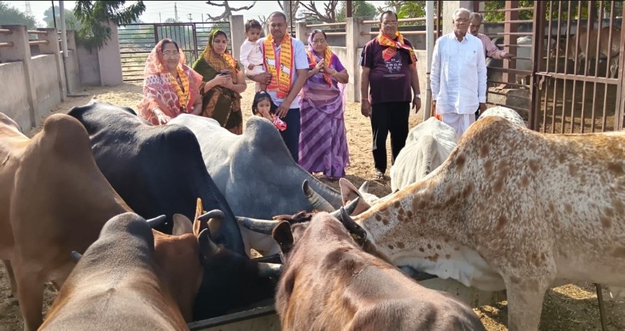 गौसेवा की अद्वितीय परंपरा: दुलचासर गौशाला में दानवीरों ने किया पवित्र भंडारा, गौवंश को खिलाई लापसी और गुड़