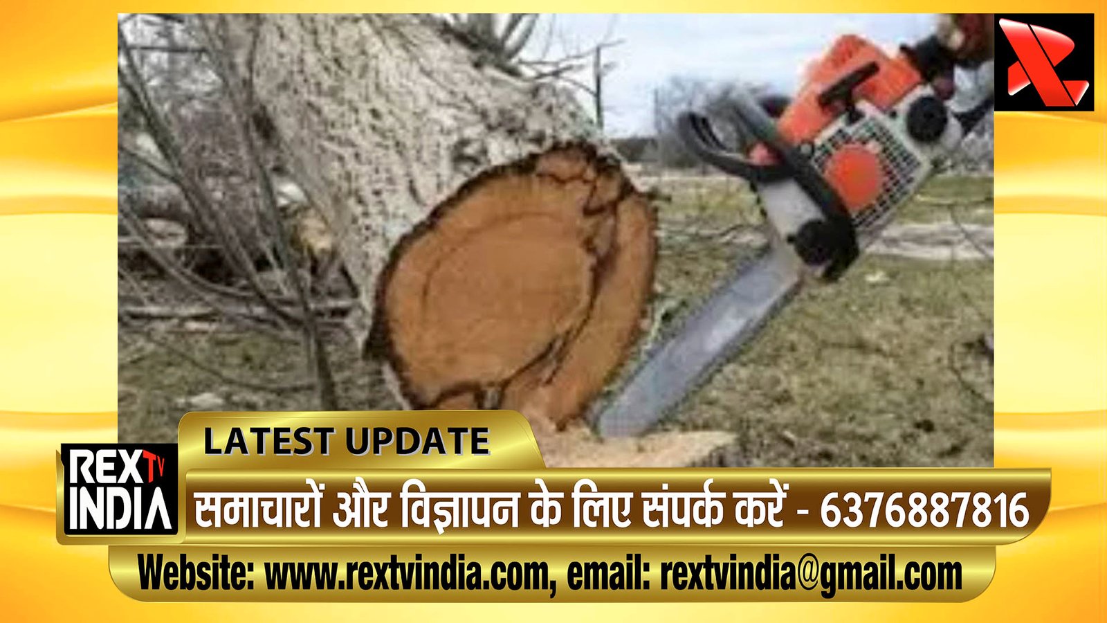 लगाने थे 18 हजार पौधे लेकिन काट दिए 70 विशाल वृक्ष, जिला कलेक्टर से सख्त कार्रवाई की मांग 