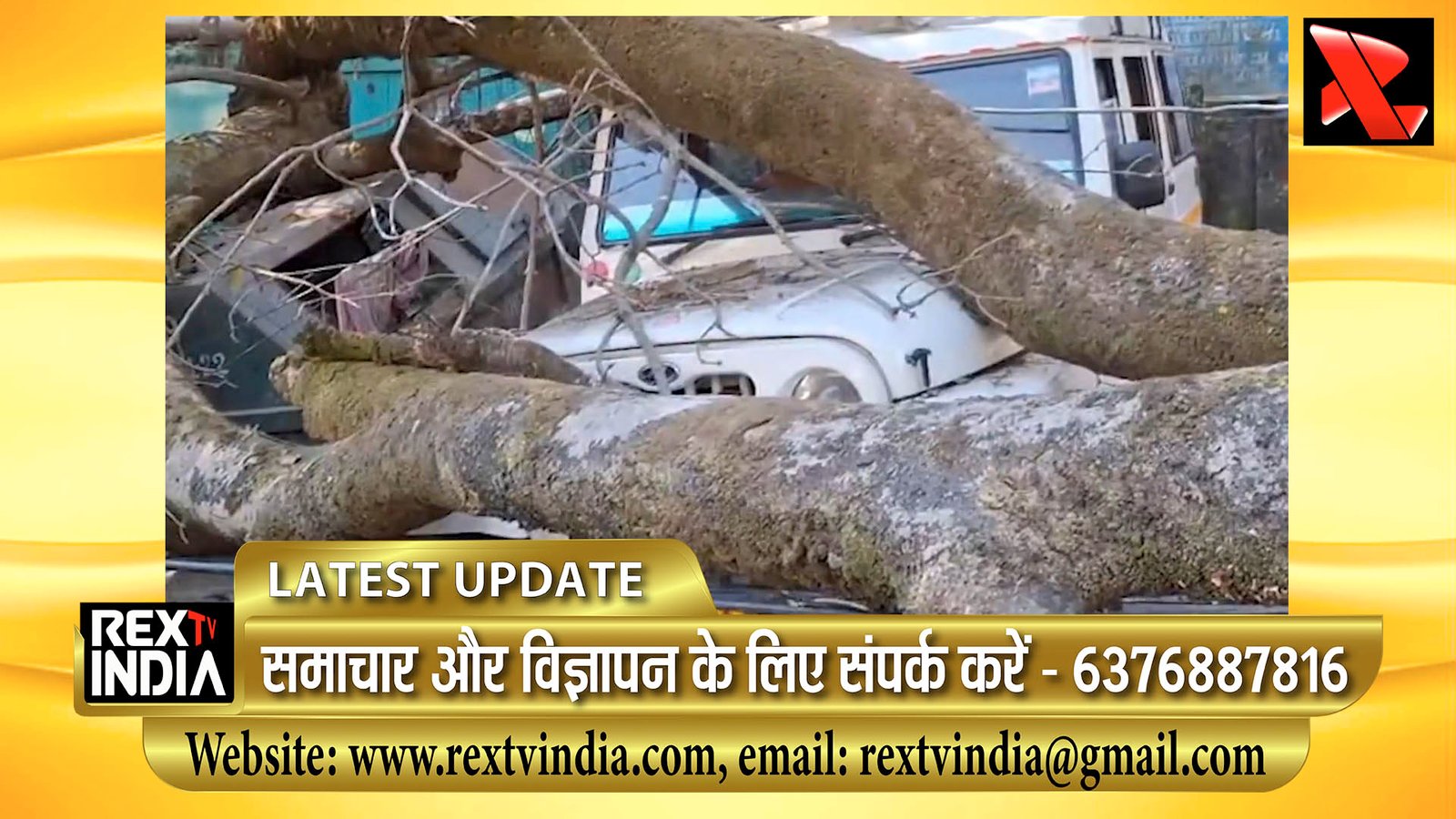 सरोवर नगरी में यातायात ठप: अचानक हुई घटना से मची अफरा-तफरी, पेड़ गिरने से वाहनों को गंभीर क्षति