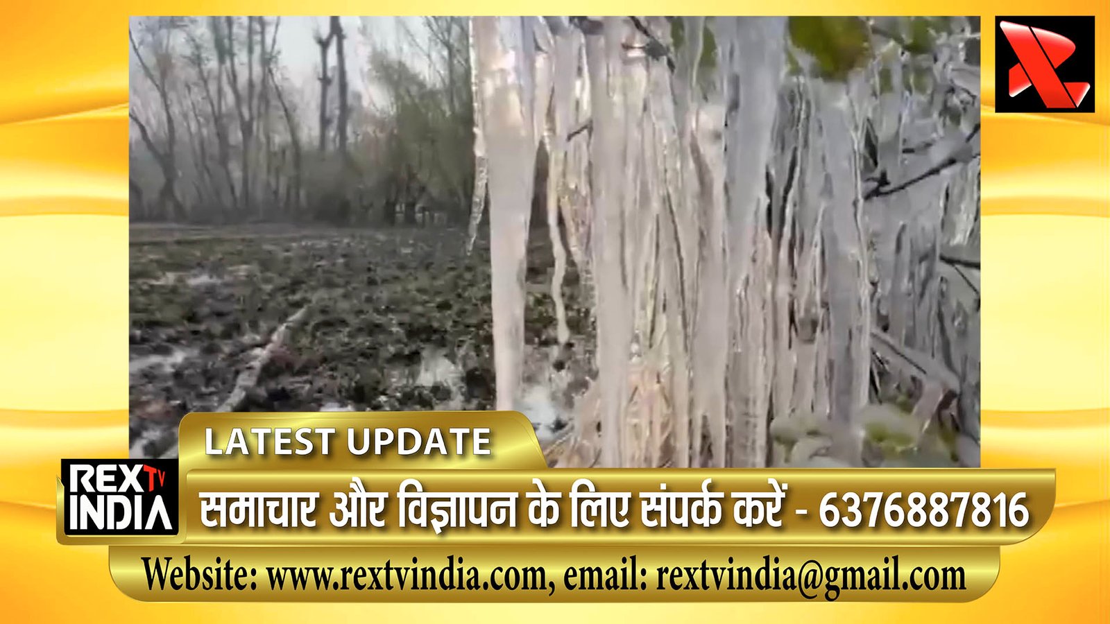 अनंतनाग में सर्दी का रिकॉर्ड तोड़ आगमन: तापमान माइनस में, पेड़ बने बर्फ की मूर्तियाँ, कुदरत का अद्भुत नजारा