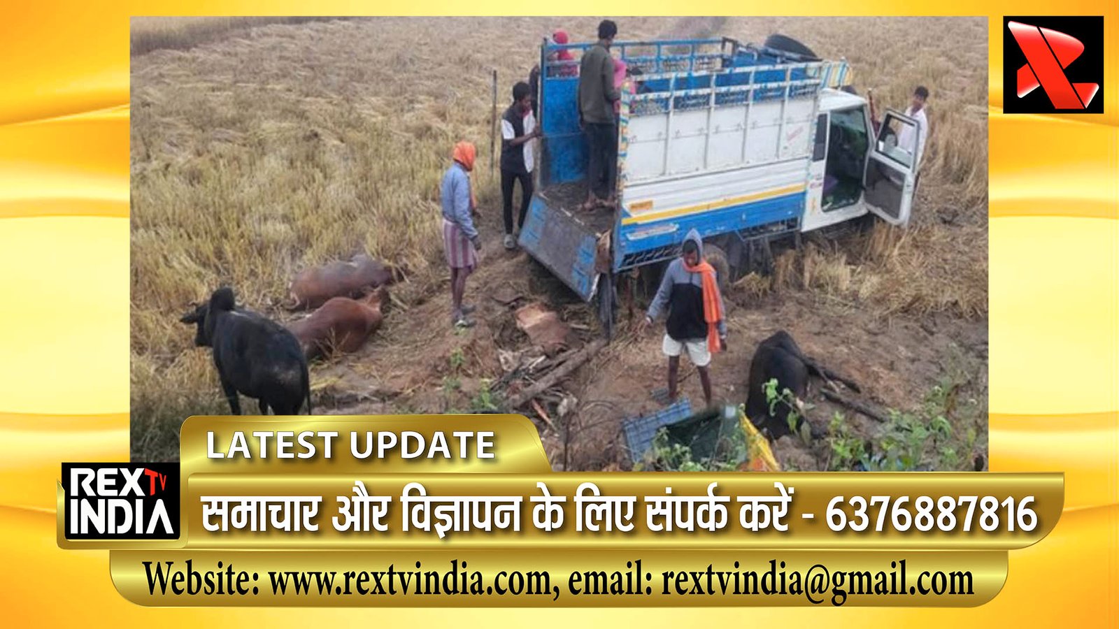 ओडिशा जाते मवेशी बरामद: जशपुर पुलिस ने संदिग्ध पिकअप से उजागर की पूरी साजिश