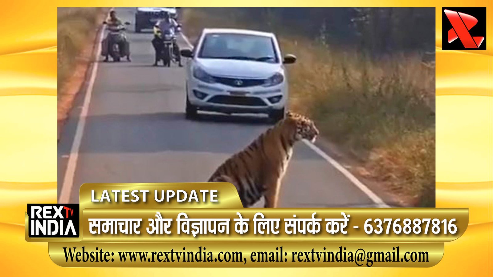 सड़क पर घंटों तक लगा रहा टाइगर जाम: चंद्रपुर में बेखौफ बाघ ने रोक दी वाहनों की आवाजाही