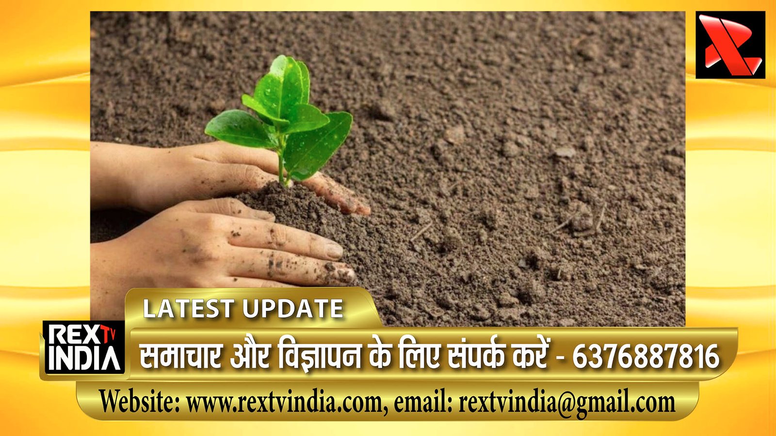 वन विभाग पर 5.20 करोड़ के पौधारोपण में धांधली का आरोप: बाबूलाल जाजू ने मुख्य सचिव से की उच्च स्तरीय जांच की मांग