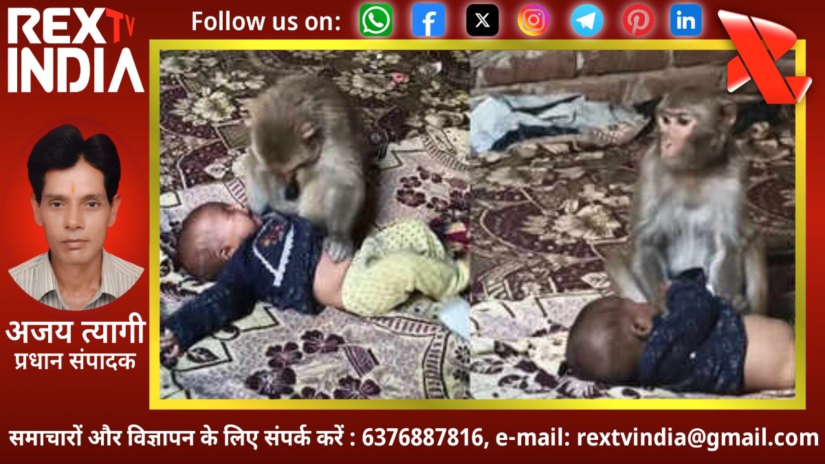 मुजफ्फरनगर में कुदरत का अजीब करिश्मा: डेढ़ घंटे तक बंदर की कैद में रही मासूम कलसुम