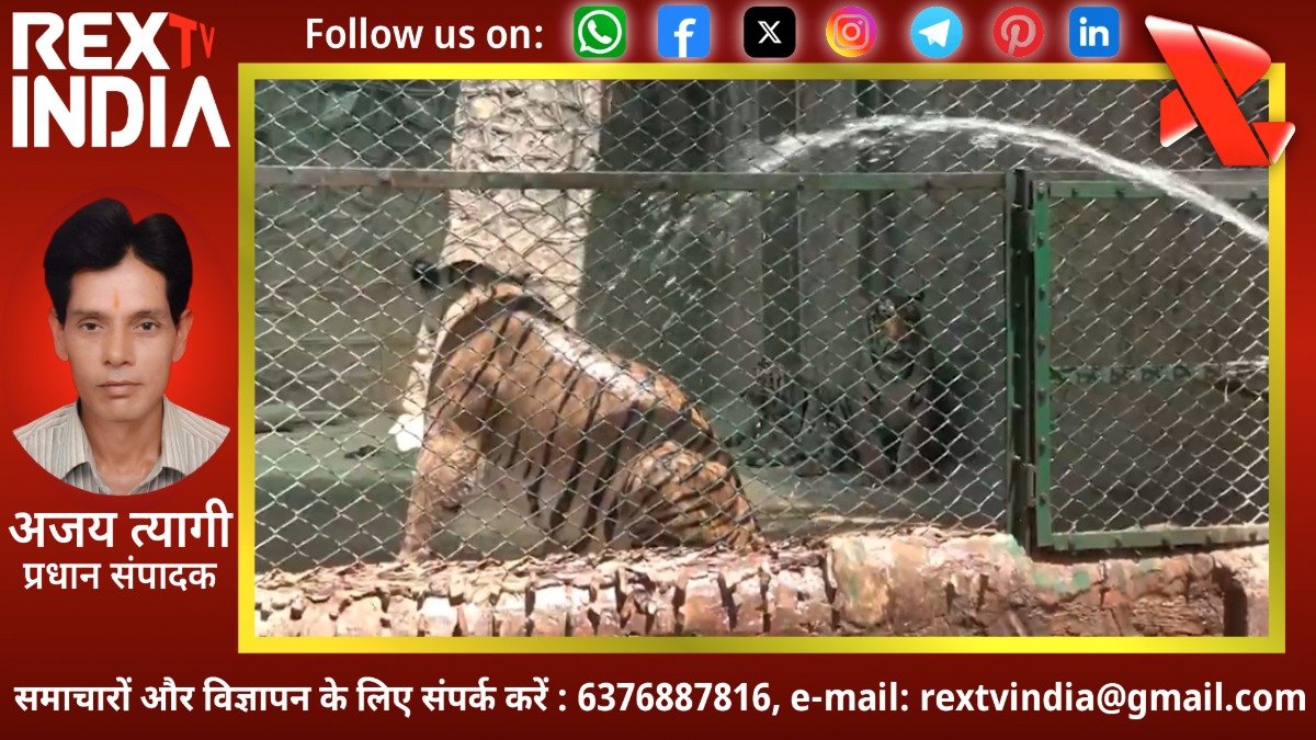 गर्मी के कहर से बेजुबानों को बचाने की जंग: भीषण तपिश के बीच बदला गया वन्यजीवों का डाइट चार्ट