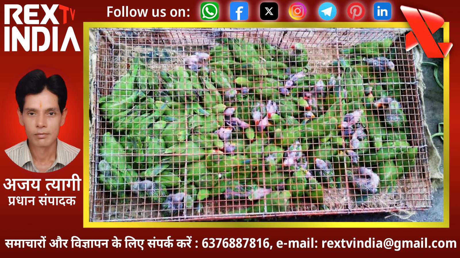 बस्तर में वन्यजीव तस्करों का दुस्साहस: तोते के बच्चों को बचाने गई वन विभाग की टीम पर जानलेवा हमला
