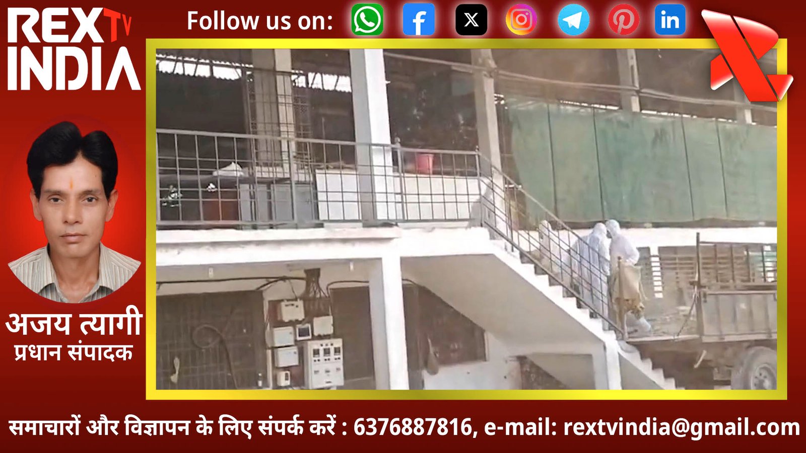 हवा में घुला एच5एन1 वायरस का जहर: नंदुरबार के पोल्ट्री फ़ार्मों में मुर्गियों को मारने का काम शुरू