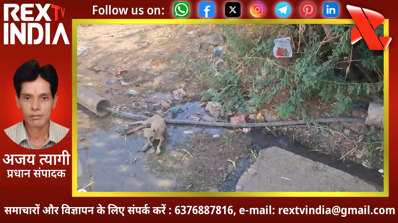 मावली के चमनपुरा में नारकीय जीवन: नालियों की गंदगी और मच्छरों के आतंक से जूझ रहे ग्रामीण