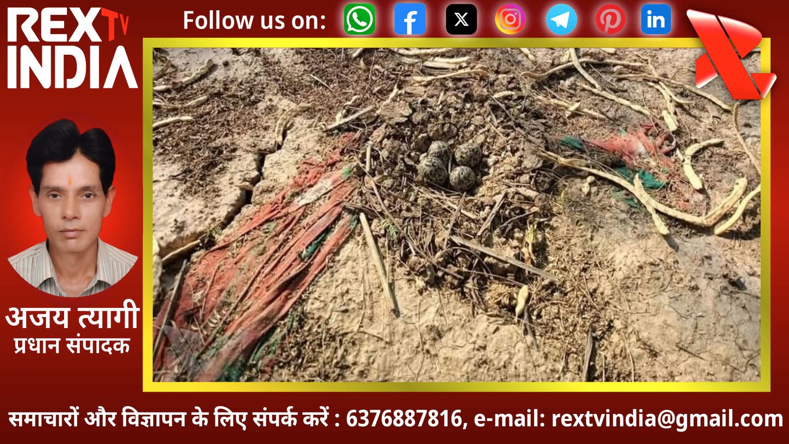 आधुनिक मौसम विज्ञान पर भारी लोक परंपरा: चार अंडों की स्थिति से ग्रामीणों ने मापी बारिश की रफ्तार