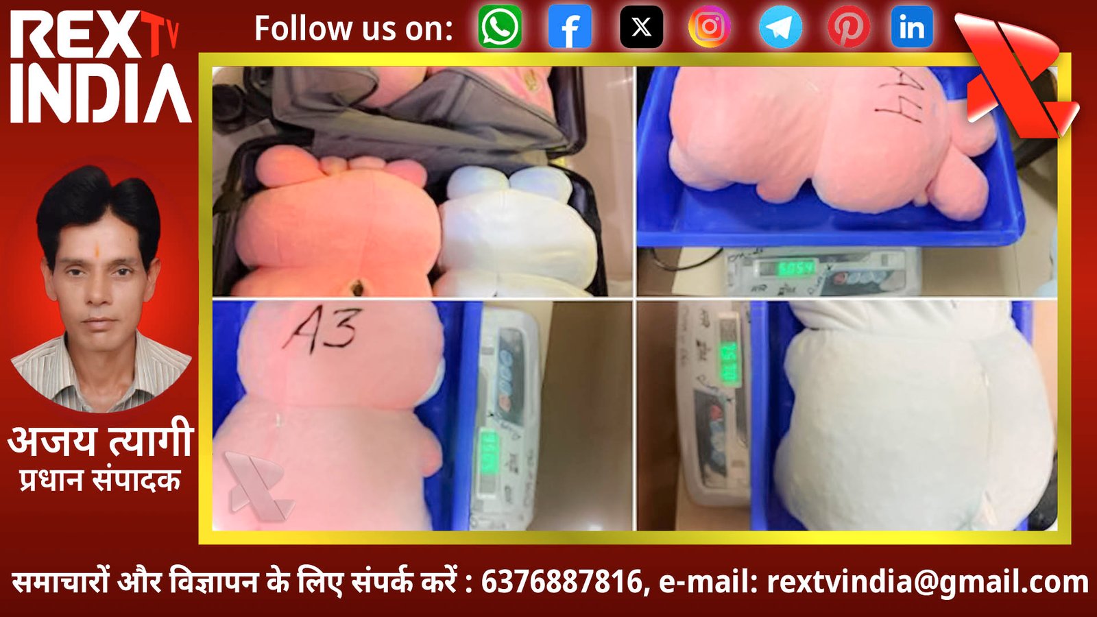 सॉफ्ट टॉयज के अंदर ड्रग्स का मायाजाल: कुआलालंपुर के रास्ते अमृतसर पहुंची प्रतिबंधित गोलियों की बड़ी खेप