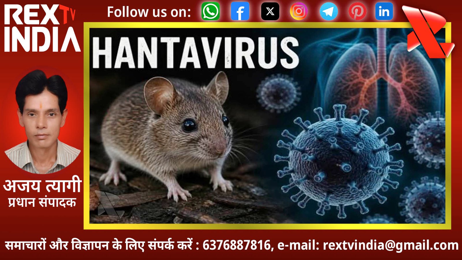 घर में चूहे? हो जाएं सावधान! हंतावायरस का नया वैश्विक अलर्ट: संक्रमण अब बढ़ा सकता है दुनियाभर की मुश्किलें