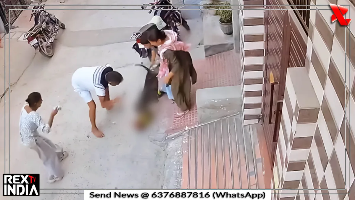 पिट बुल के हमले में नवजात घायल, अस्पताल में इलाज जारी