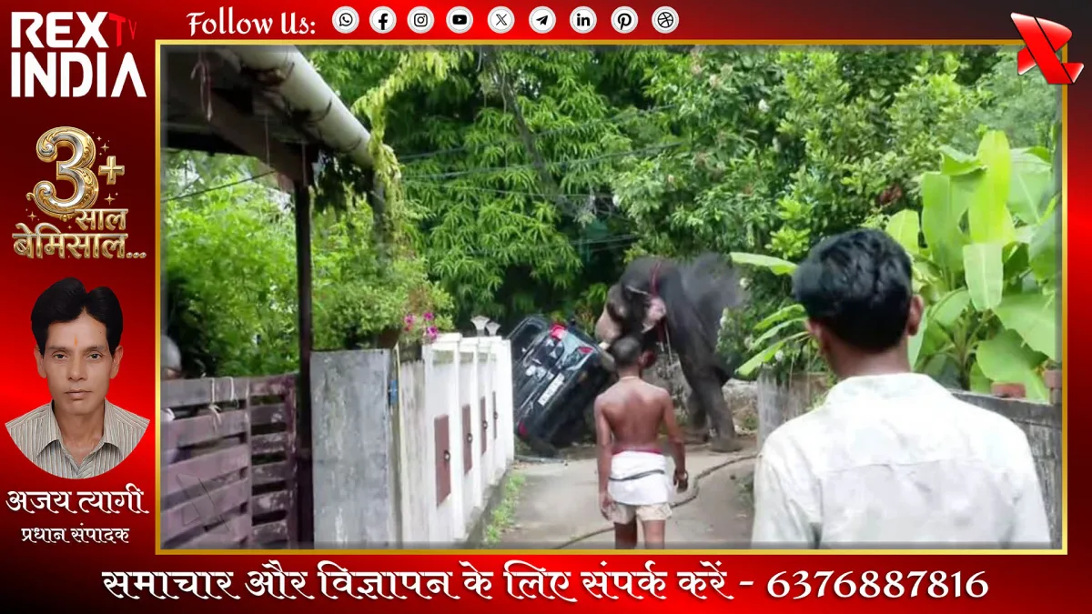 हाथी का हिंसक उत्पात