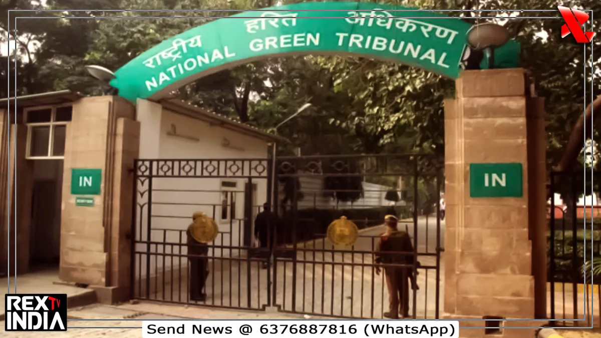 NGT का सख्त आदेश, बिना PUC सरकारी वाहन भी सड़क पर नहीं चलेंगे