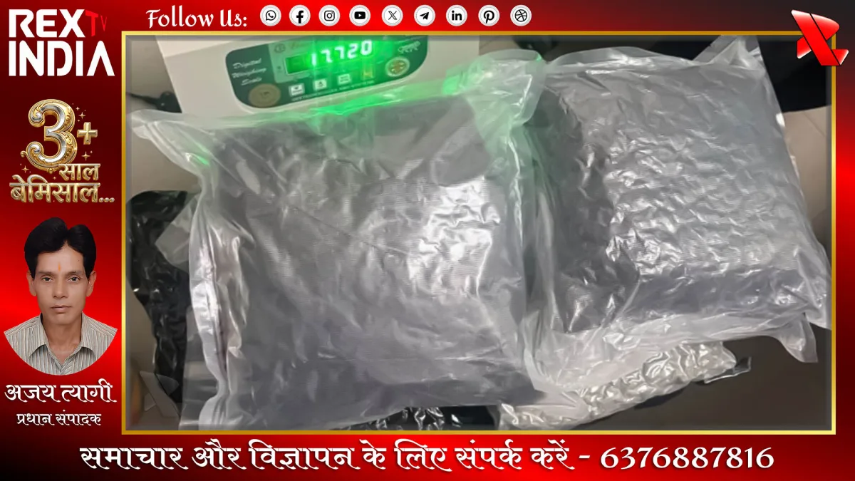 एयरपोर्ट पर जब्त हाइड्रोपोनिक गांजा