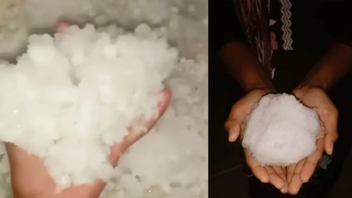 ओलावृष्टि से नुकसान, कई जिलों में फसलें प्रभावित और मौसम बदला