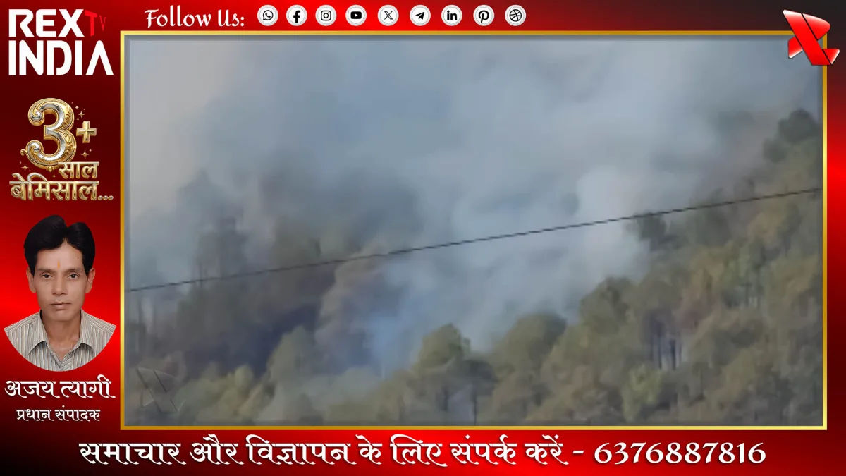 जंगल की भीषण आग