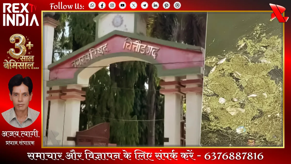 प्रतीकात्मक फोटो - Rex TV India