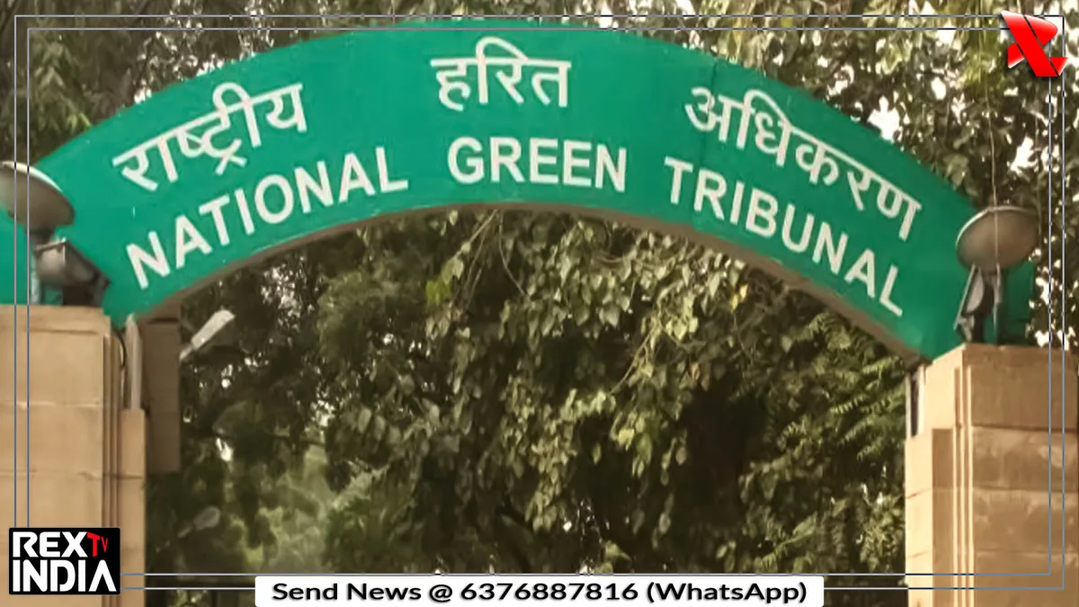 कचरा प्रबंधन पर NGT सख्त, राज्यों के आंकड़ों पर उठे सवाल