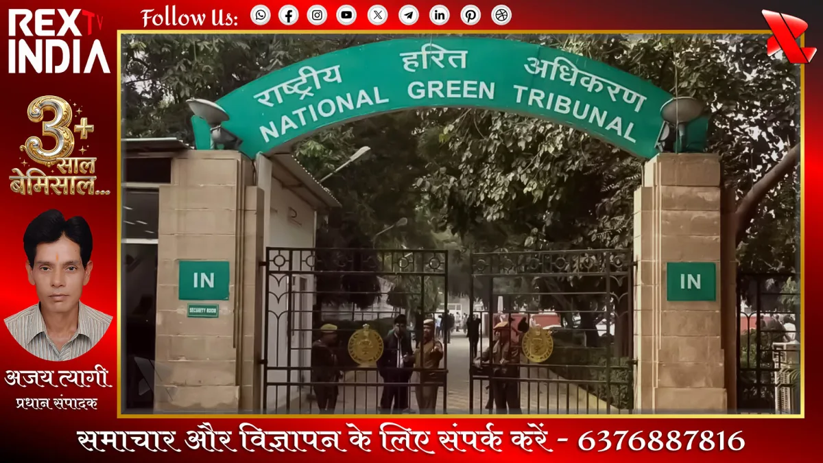 भीषण लू का कहर: स्वास्थ्य संकट पर एनजीटी सख्त, मांगा जवाब