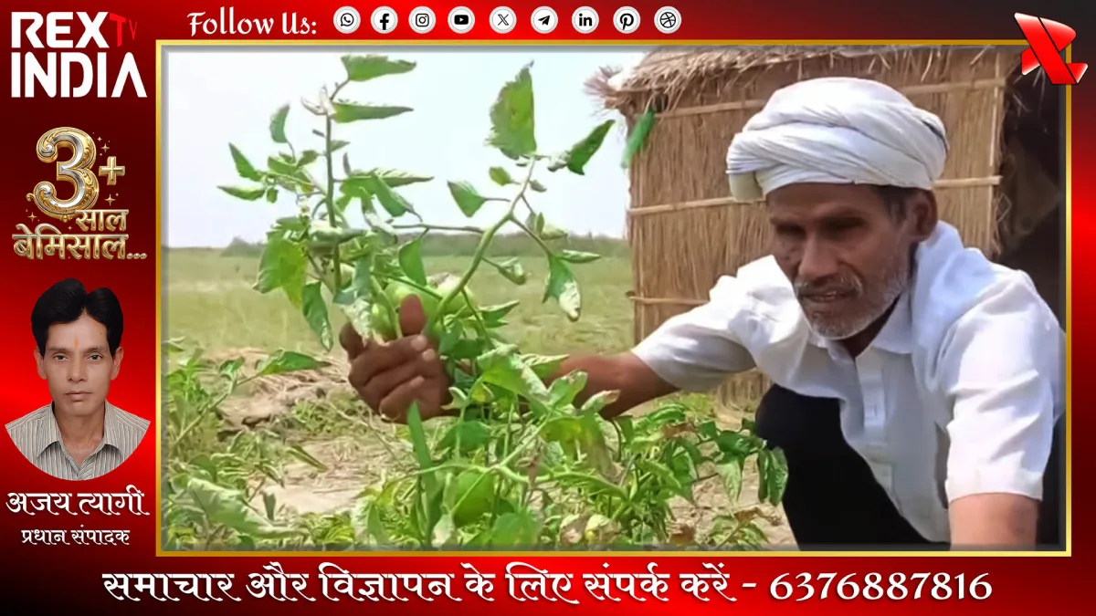बसंता गांव के रहने वाले प्रमोद सिंह