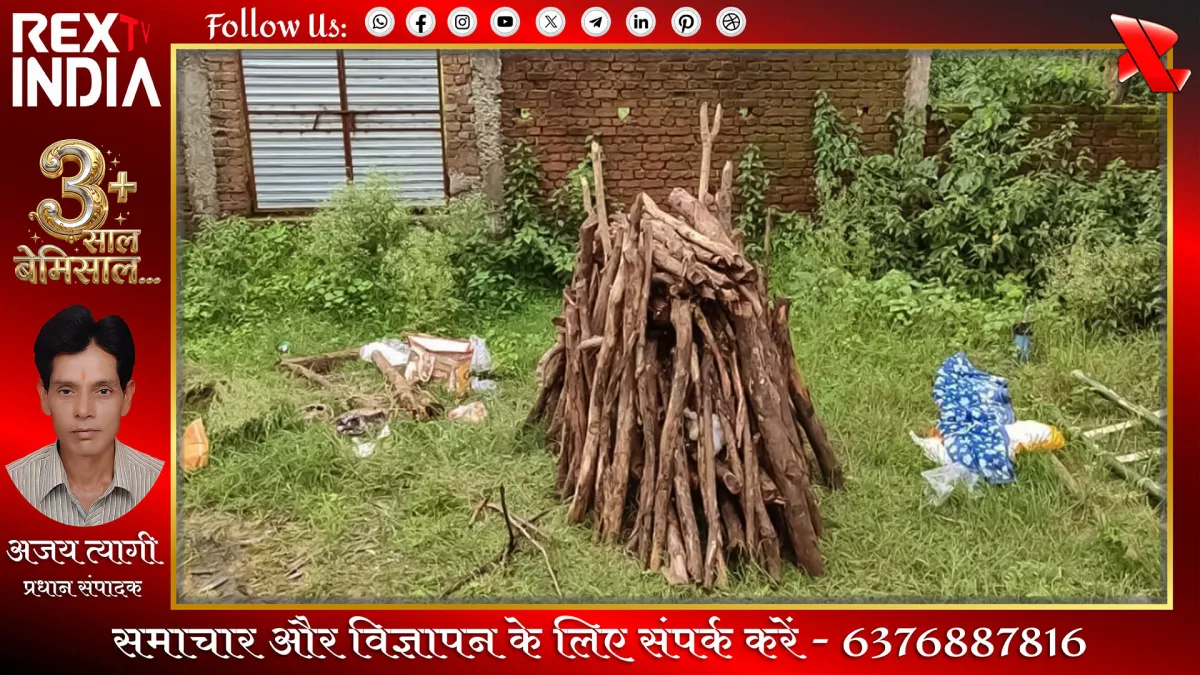 प्रतीकात्मक फोटो - Rex TV India
